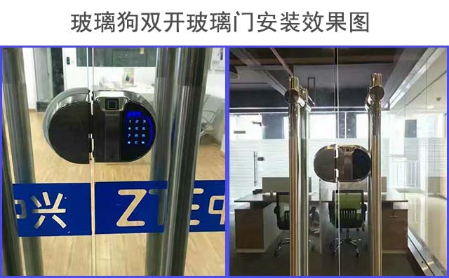 玻璃狗双开玻璃门安装展示